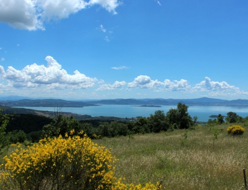 Lago Trasimeno