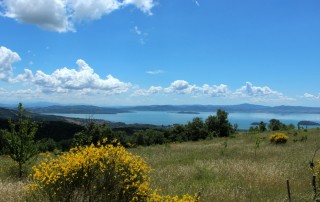 Lago Trasimeno Umbrien