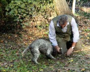 Trüffelsuche Umbrien