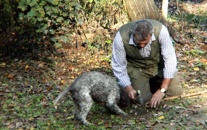 Trüffelsuche Umbrien