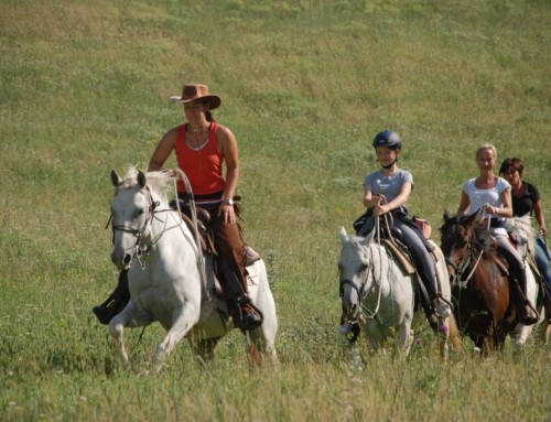 Horseback Riding in Umbria