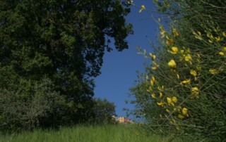 Wandern in Umbrien, Montone, Ferienwohnung
