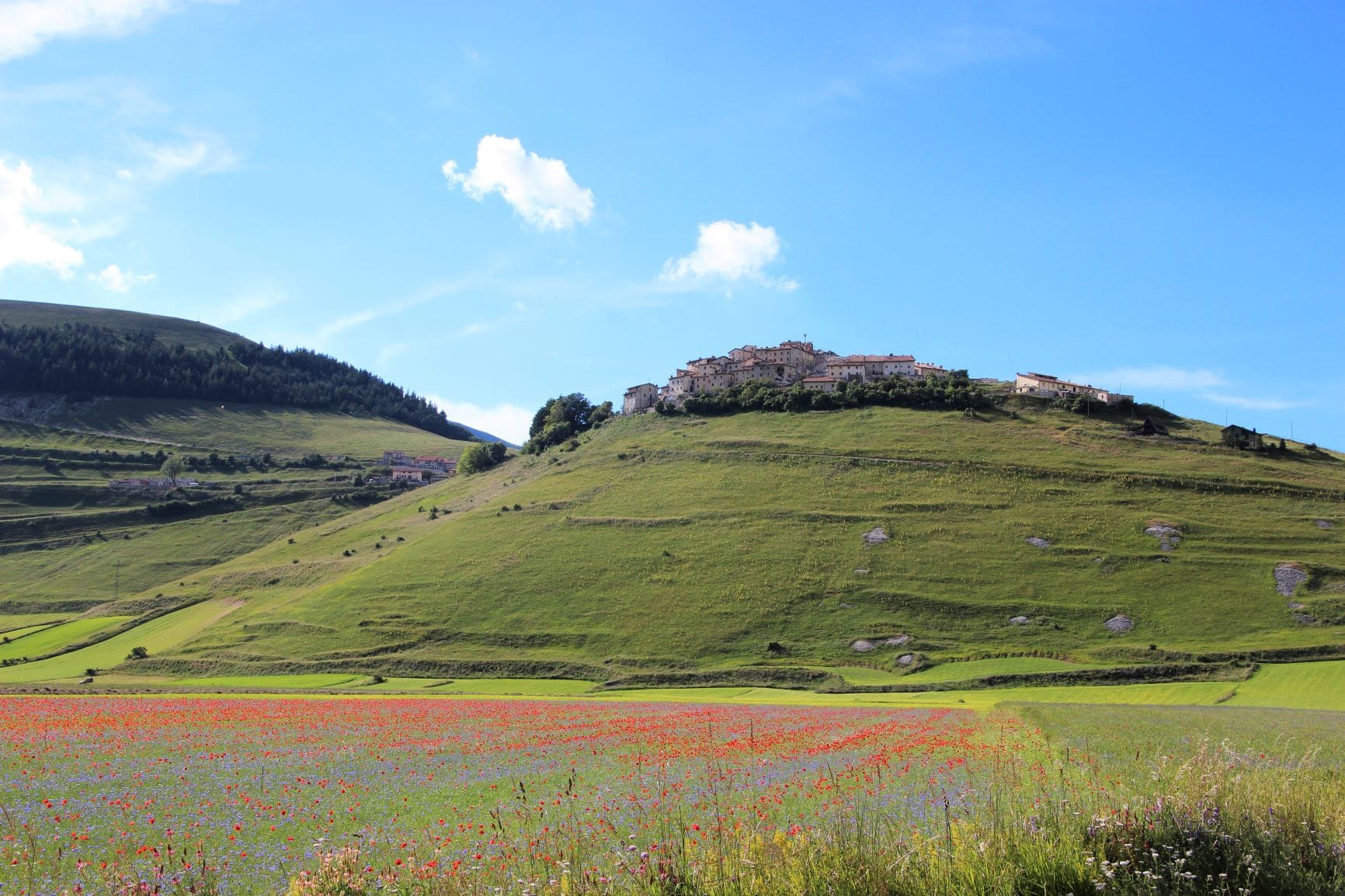 Der Ort Castelluccio während der Linsenblüte 
